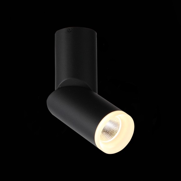 Светильник потолочный TORTELLE luce st107.402.10 ST LUCE Светильник потолочный TORTELLE luce st107.402.10 ST LUCE