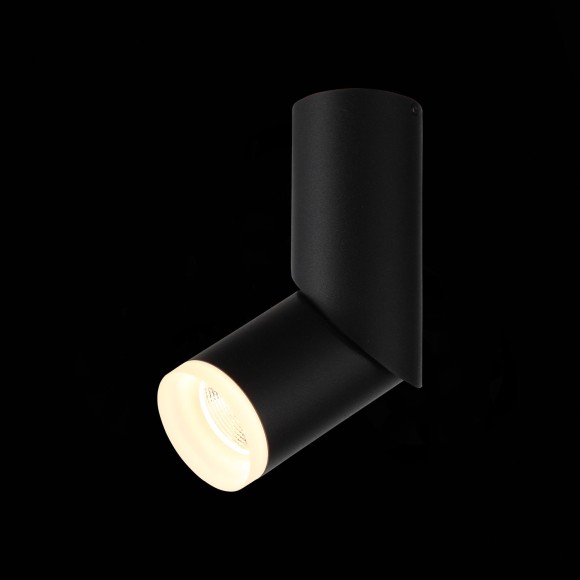 Светильник потолочный TORTELLE luce st107.402.10 ST LUCE Светильник потолочный TORTELLE luce st107.402.10 ST LUCE