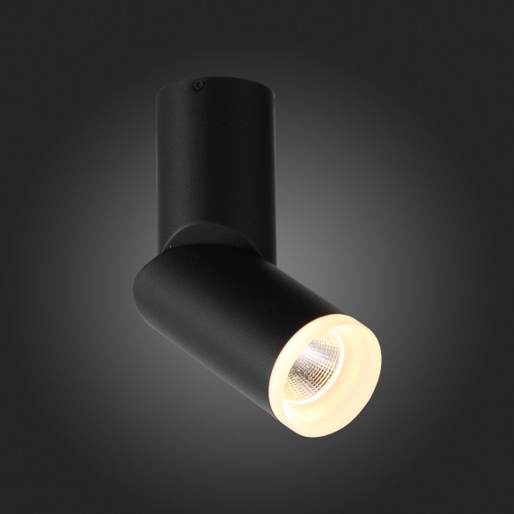 Светильник потолочный TORTELLE luce st107.402.10 ST LUCE Светильник потолочный TORTELLE luce st107.402.10 ST LUCE