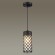 4834/1 NATURE ODL21 567 черный/стекло Ландшафтный светильник-подвес E27 1*60W IP44 DUNES