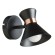 Спот Baltimore a1406ap-1bk Arte Lamp