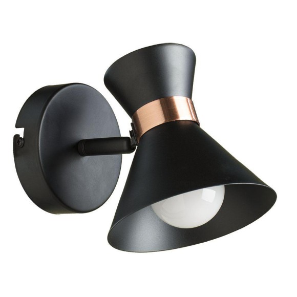 Спот Baltimore a1406ap-1bk Arte Lamp