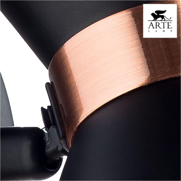 Спот Baltimore a1406ap-1bk Arte Lamp