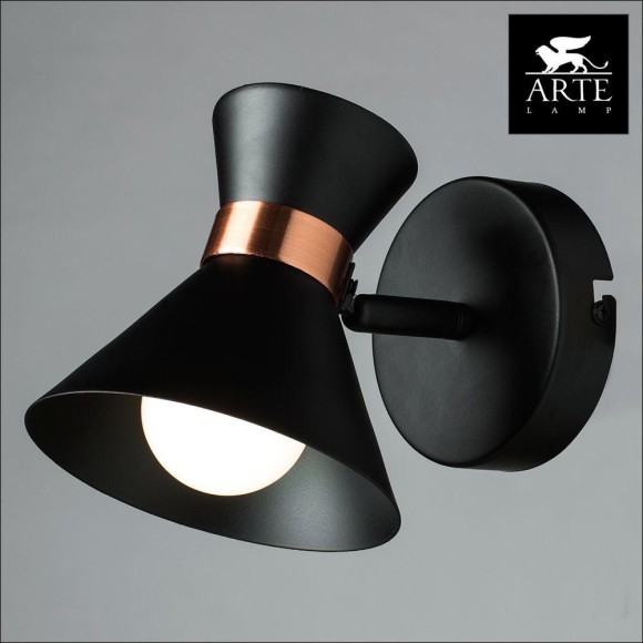 Спот Baltimore a1406ap-1bk Arte Lamp