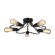 Светильник потолочный Riverrun a9344pl-5bk Arte Lamp