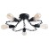 Светильник потолочный Riverrun a9344pl-5bk Arte Lamp