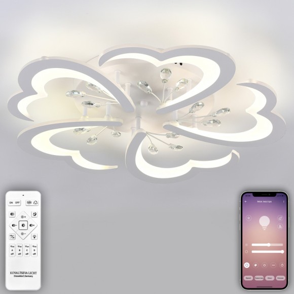 Накладная люстра Natali Kovaltseva LED LAMPS 81120/5C