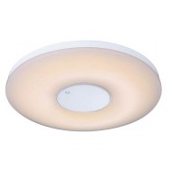 Накладной светильник Felion Globo 41322 Накладной светильник Felion Globo 41322