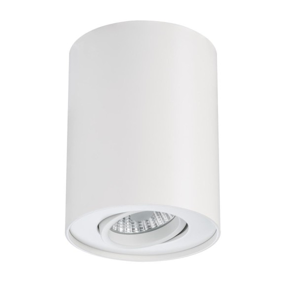 Светильник потолочный накладной Paulmann Barrel H125 D98 6Вт 420Лм 2700К LED IP23 230В Белый 92690