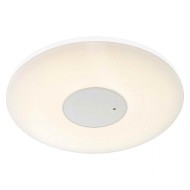 Накладной светильник Felion Globo 41324 Накладной светильник Felion Globo 41324