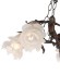 Подвесная люстра Lumien Hall Эльза H17050/5PCRG