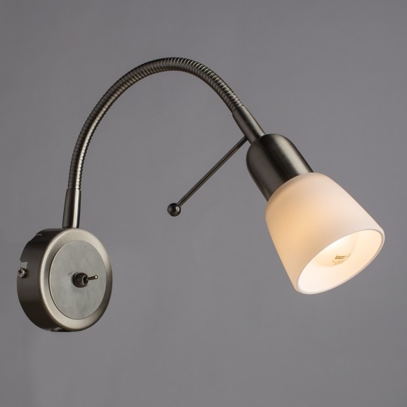 Спот Lettura a7009ap-1ss Arte Lamp