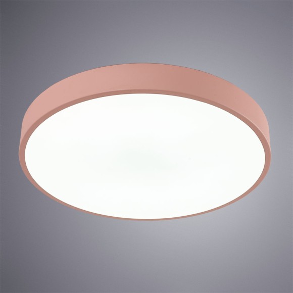 Светильник потолочный Arena a2661pl-1pk Arte Lamp картинка 2