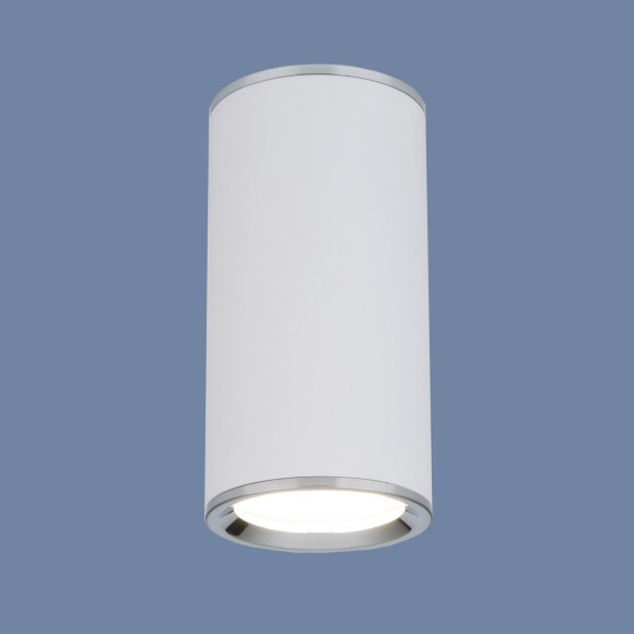 Накладной потолочный светильник DLN101 GU10 WH белый Elektrostandard