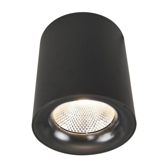 Светильник потолочный Facile a5118pl-1bk Arte Lamp
