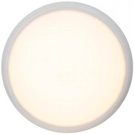 Потолочный светильник Brilliant Vigor G94141/05