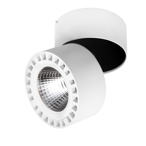 Светильник накладной Lightstar Forte 381363