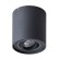 Светильник потолочный Falcon a5645pl-1bk Arte Lamp
