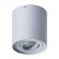 Светильник потолочный Falcon a5645pl-1gy Arte Lamp