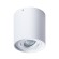 Светильник потолочный Falcon a5645pl-1wh Arte Lamp