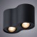 Светильник потолочный Falcon a5645pl-2bk Arte Lamp картинка 2