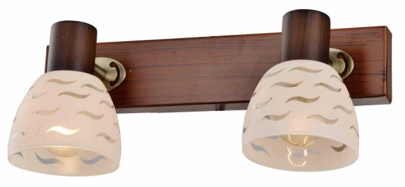 Спот Shayla TL3730Y-02BB Toplight