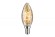 Лампа филаментная Paulmann Ретро Свеча 4.5Вт 400лм 2500К Е14 230В Золото Кроколед Дим. 28497