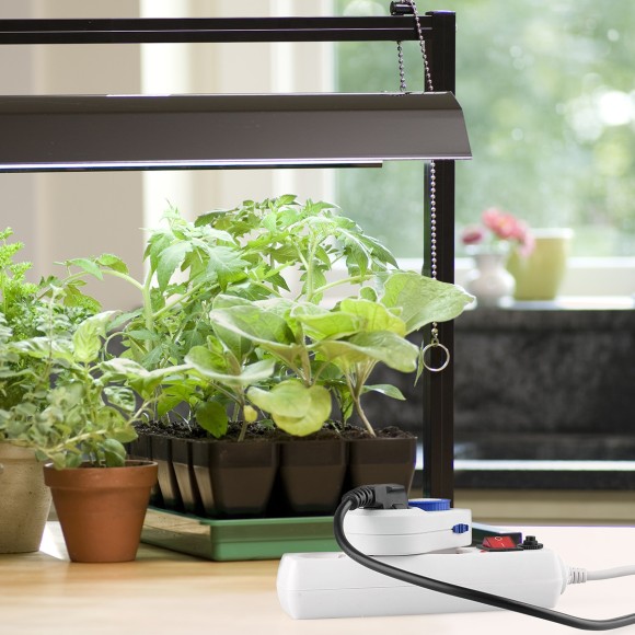 Розетка-таймер 16A x1 IP20 Белый TMH-M-3 Elektrostandard