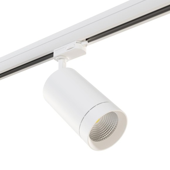 Светильник трековый Lightstar Canno 303562