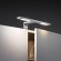 Подсветка для зеркала Paulmann Galeria Hook L300 2x3.2Вт 378Лм 2700К LED 230В IP44 Хром Металл 99385