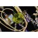 Люстра Ricchezza a2011lm-6go Arte Lamp