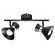 Спот Baltimore a1406ap-2bk Arte Lamp