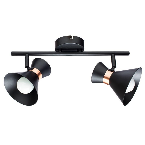 Спот Baltimore a1406ap-2bk Arte Lamp