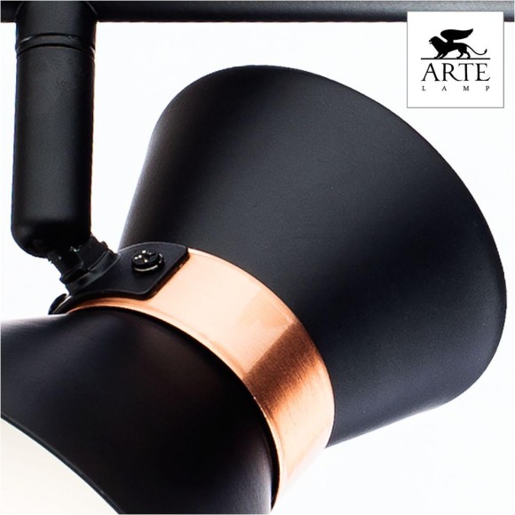 Спот Baltimore a1406ap-2bk Arte Lamp