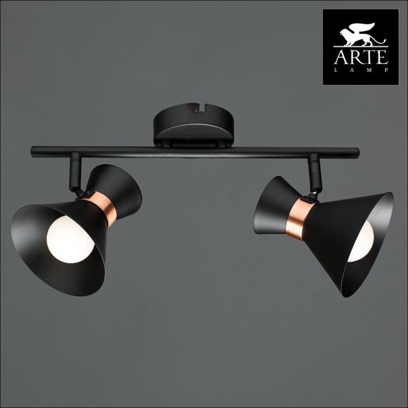 Спот Baltimore a1406ap-2bk Arte Lamp