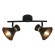 Спот Baltimore a1406ap-2bk Arte Lamp