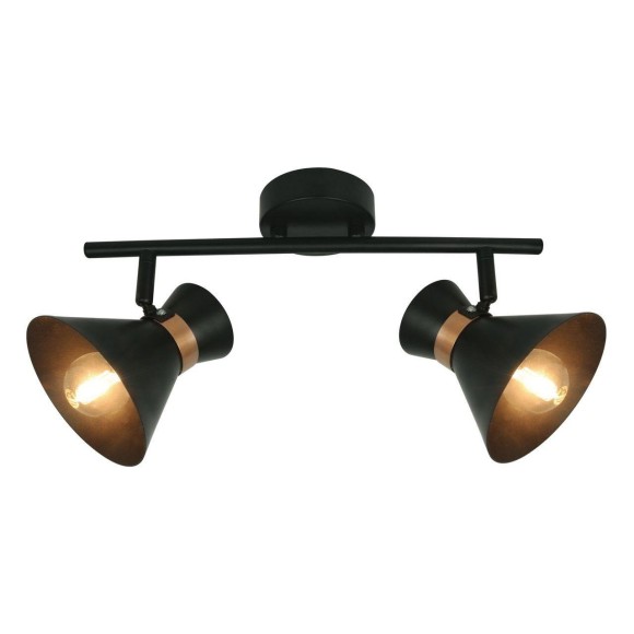 Спот Baltimore a1406ap-2bk Arte Lamp