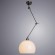 Светильник подвесной Paolo a1733sp-1ss Arte Lamp