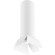 Комплект со светильником Rullo Rullo Lightstar R496436