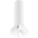 Комплект со светильником Rullo Rullo Lightstar R496436