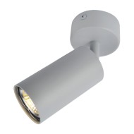 Светильник потолочный Aquarius a3216pl-1gy Arte Lamp Светильник потолочный Aquarius a3216pl-1gy Arte Lamp