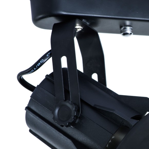 Светильник потолочный Lyra a6252pl-2bk Arte Lamp картинка 2 Светильник потолочный Lyra a6252pl-2bk Arte Lamp картинка 2